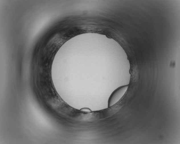 X0000110710430200907101248