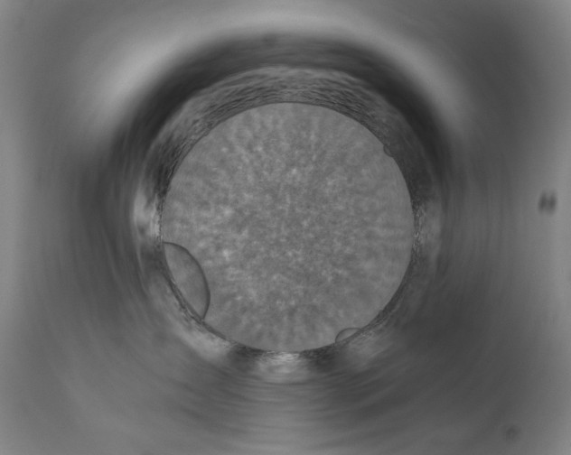 X0000110710431200907101248