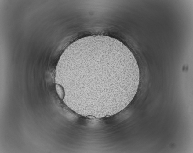 X0000110710432200907101248