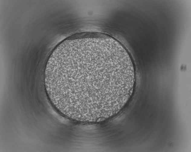 X0000110710433200907101247