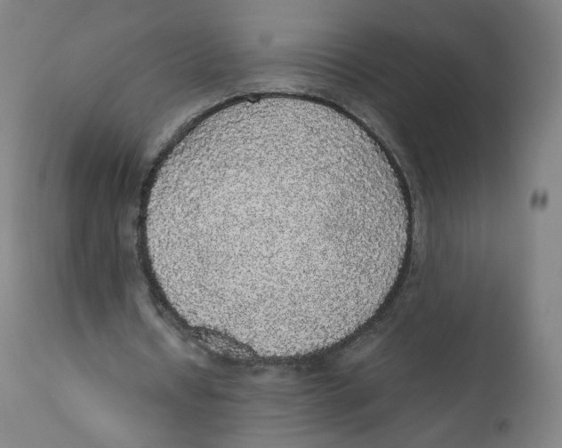 X0000110710434200907101247