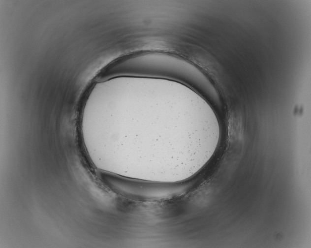 X0000110710436200907101248