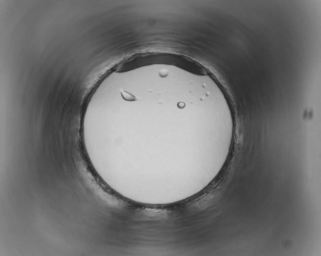X0000110710437200907101248