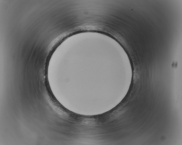 X0000110710438200907101248