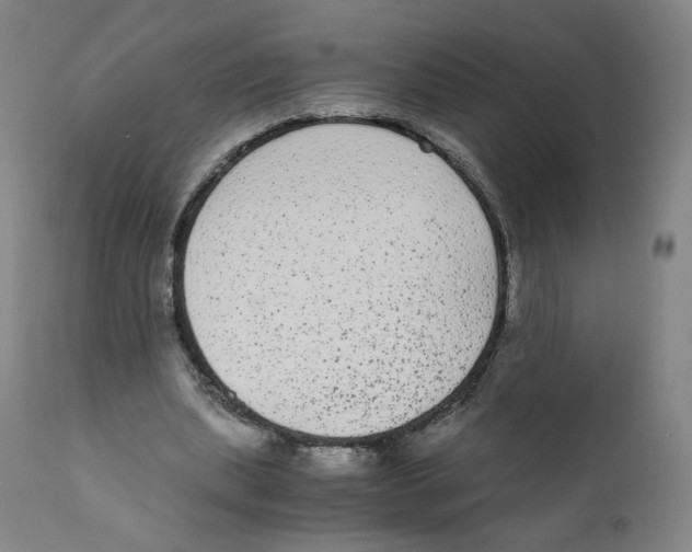 X0000110710439200907101248