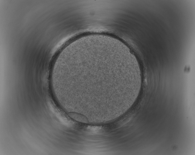 X0000110710440200907101248