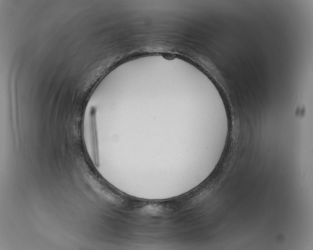 X0000110710441200907101248