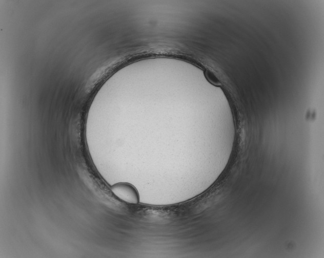 X0000110710442200907101248