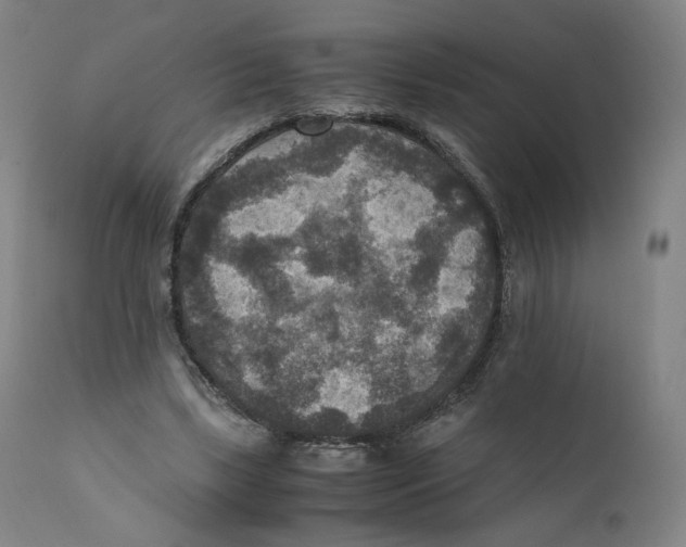X0000110710443200907101248