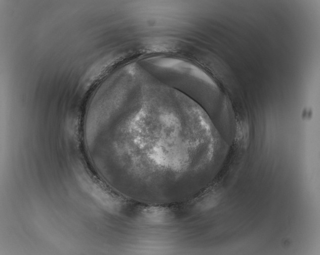 X0000110710444200907101248