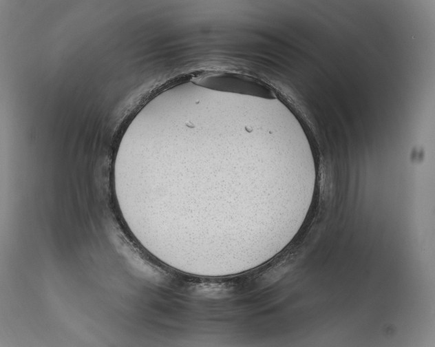 X0000110710445200907101248