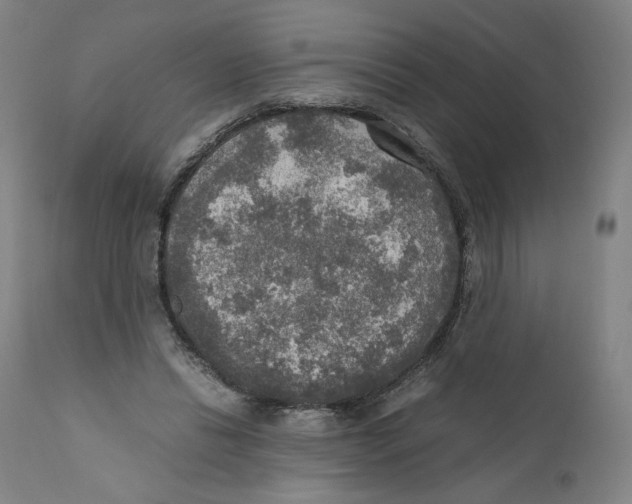 X0000110710446200907101248