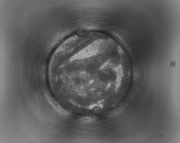 X0000110710447200907101248