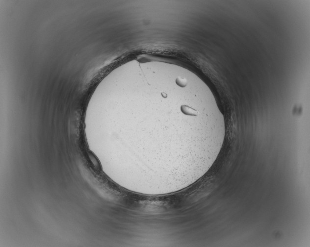 X0000110710448200907101248