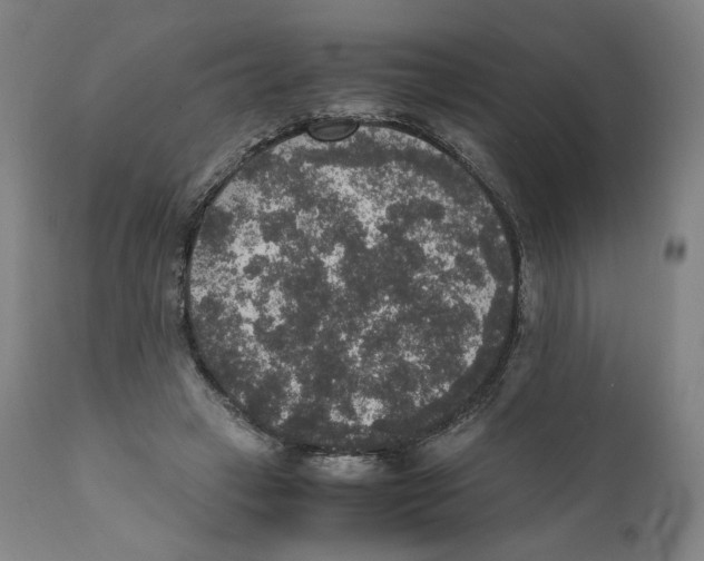 X0000110710449200907101248