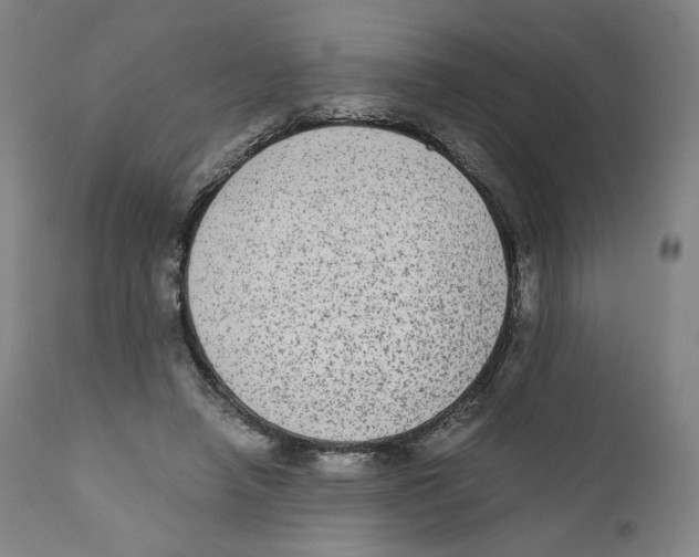 X0000110710450200907101248