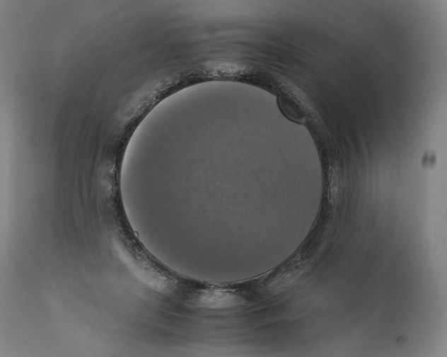 X0000110710451200907101248