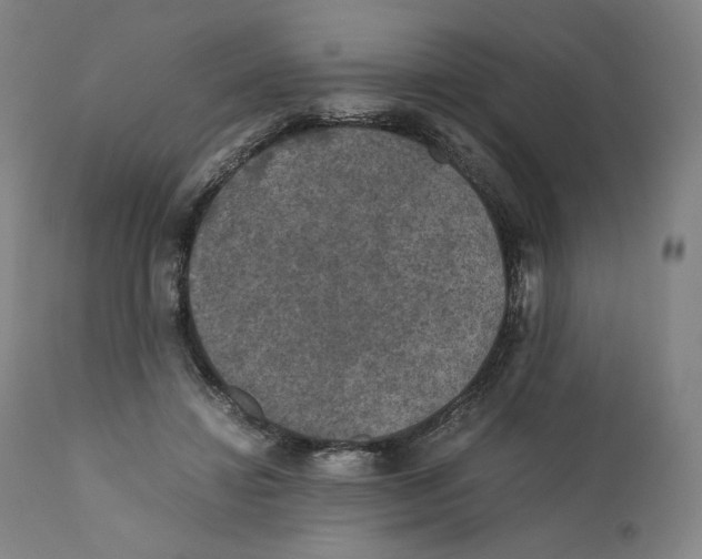X0000110710452200907101248