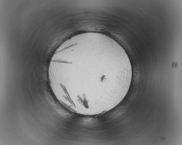 X0000110710453200907101248