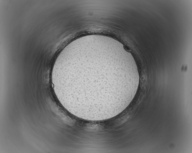 X0000110710454200907101248