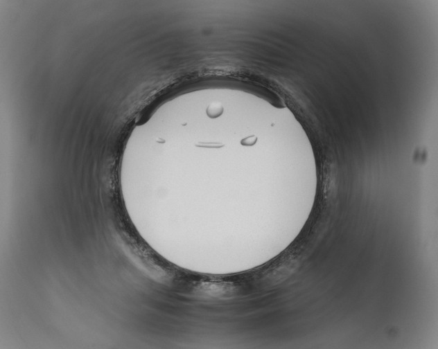 X0000110710455200907101248