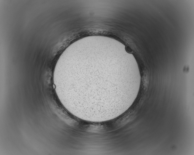 X0000110710458200907101248