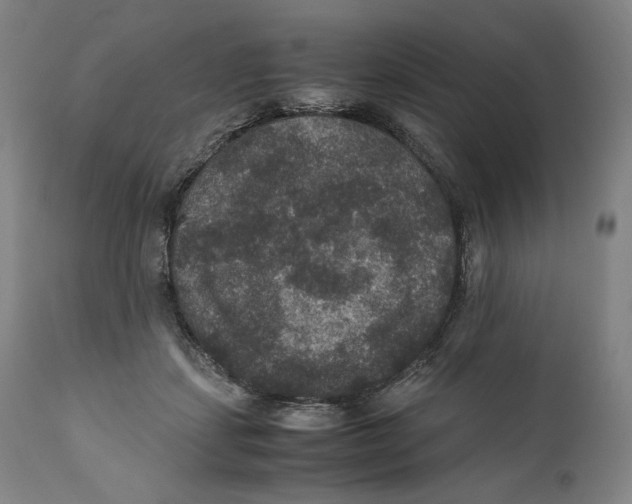 X0000110710459200907101248