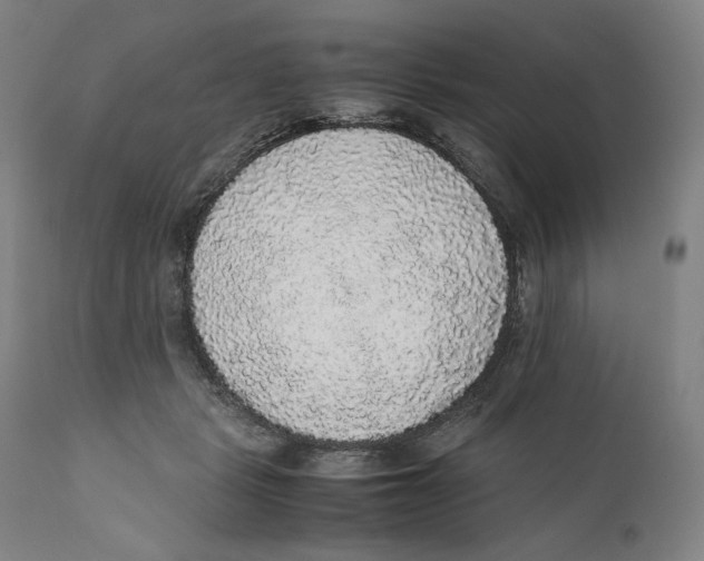 X0000110710461200907101248