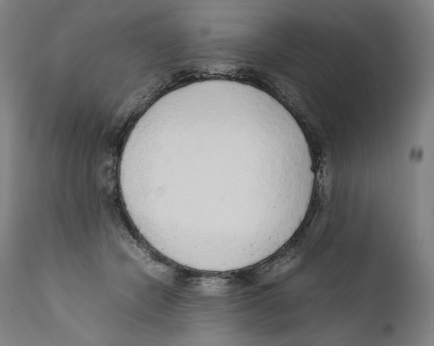 X0000110710462200907101248