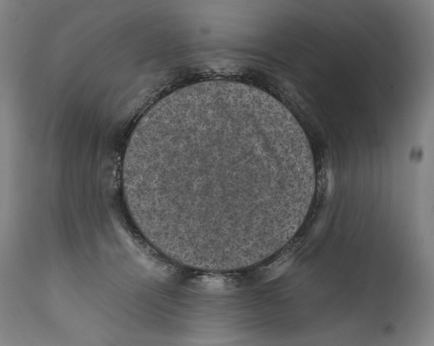 X0000110710464200907101248