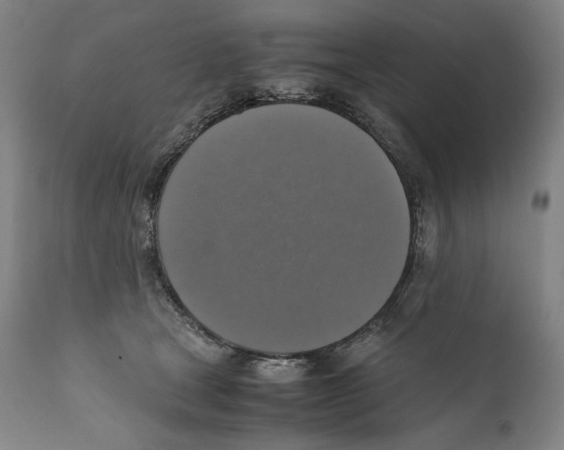 X0000110710465200907101248