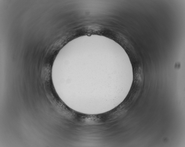 X0000110710468200907101248