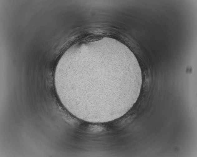 X0000110710469200907101248