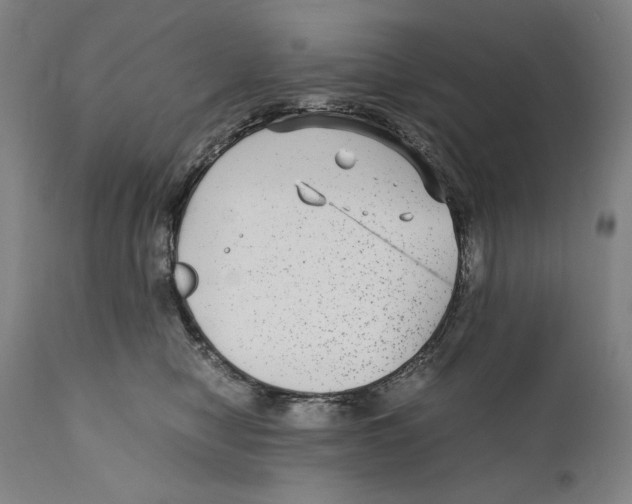 X0000110710470200907101248