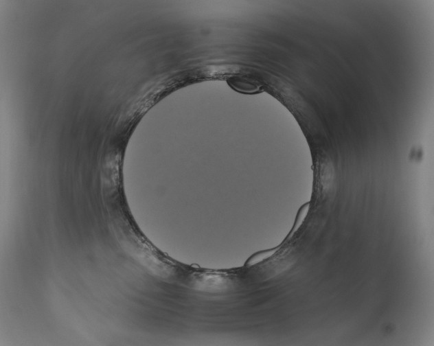 X0000110710475200907101248