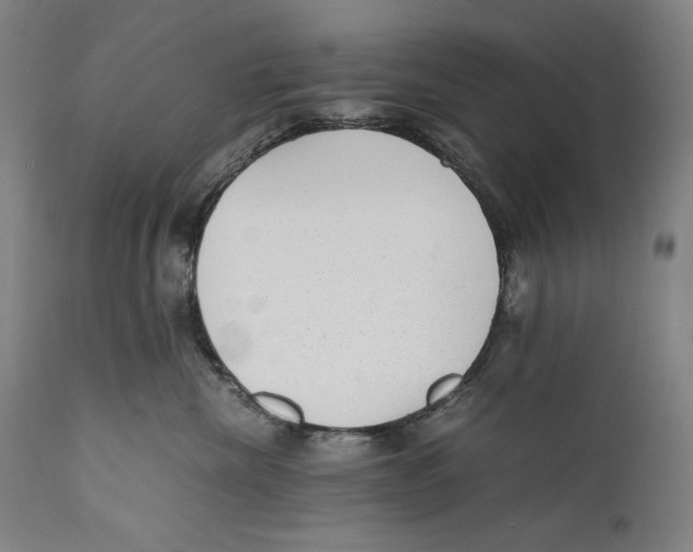 X0000110710476200907101248