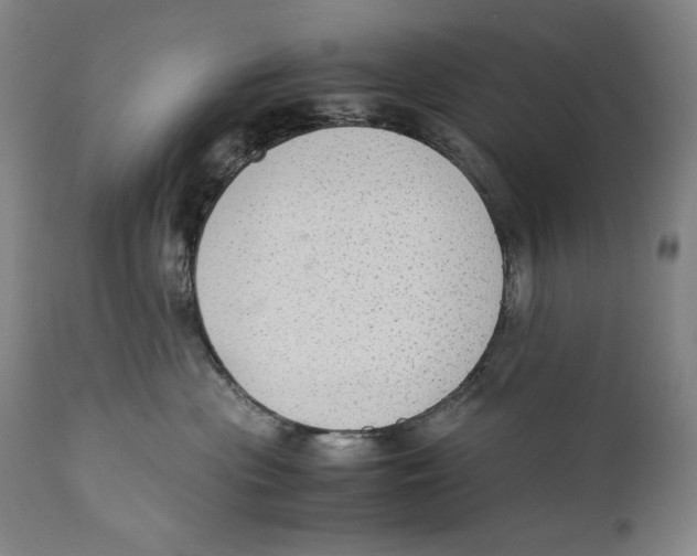 X0000110710477200907101248