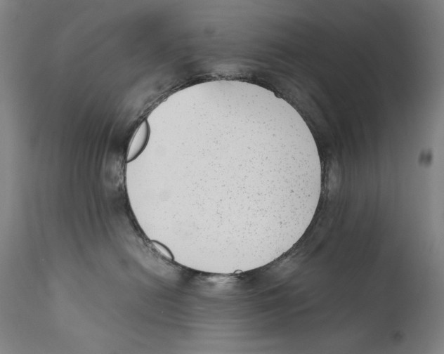 X0000110710478200907101248