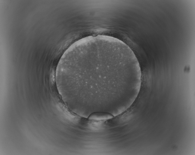X0000110710479200907101248