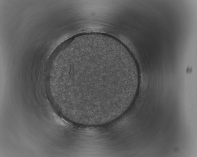 X0000110710481200907101247