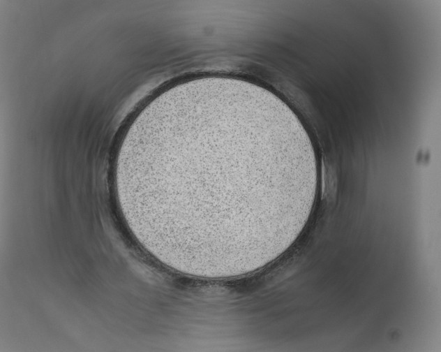 X0000110710483200907101247