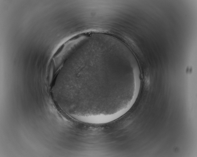 X0000110710484200907101247