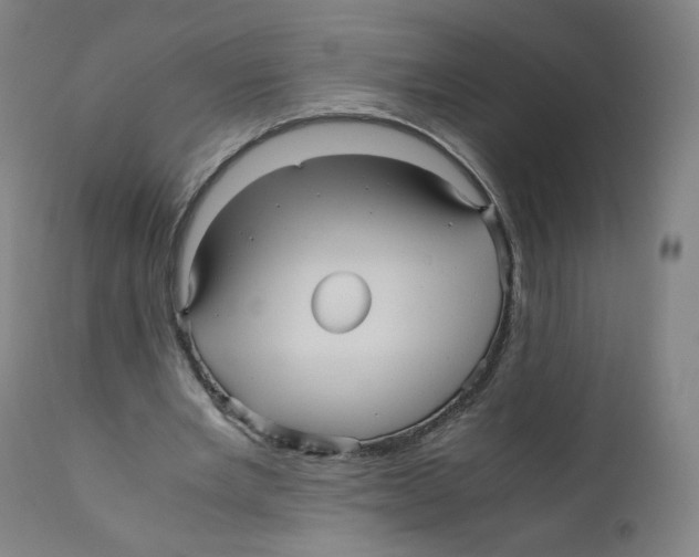 X0000110710485200907101247