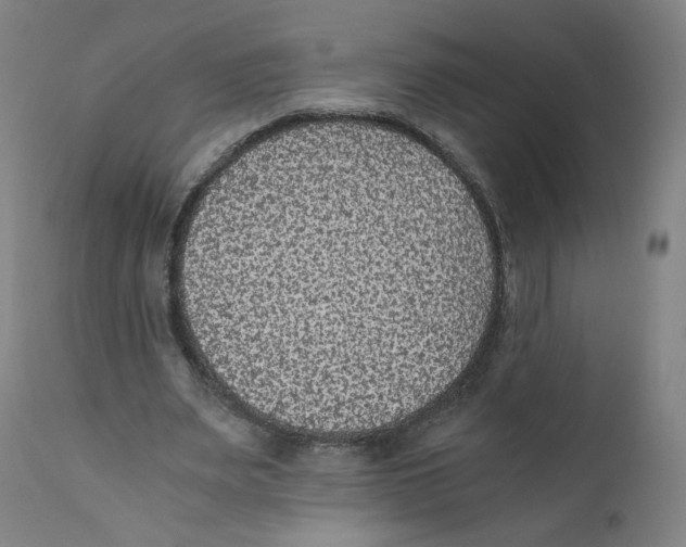 X0000110710487200907101247