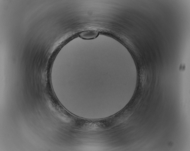 X0000110710488200907101247