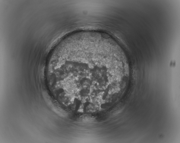 X0000110710491200907101247