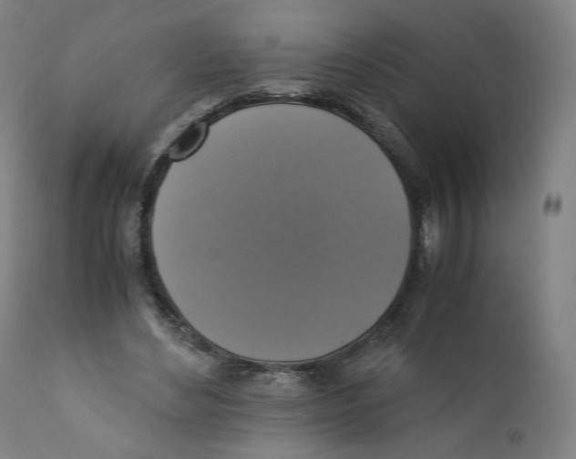 X0000110710492200907101247