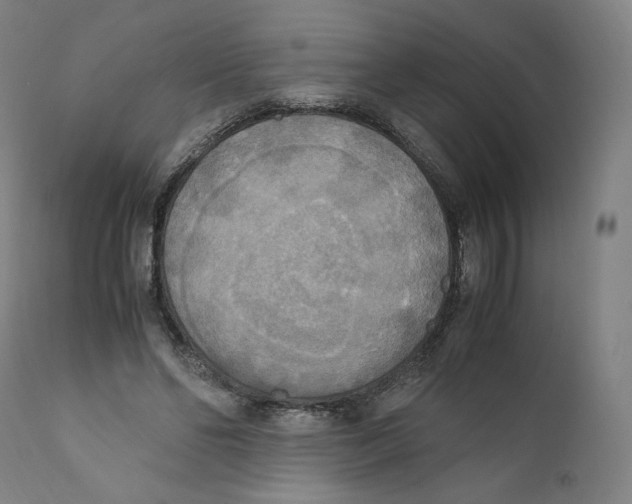 X0000110710494200907101247