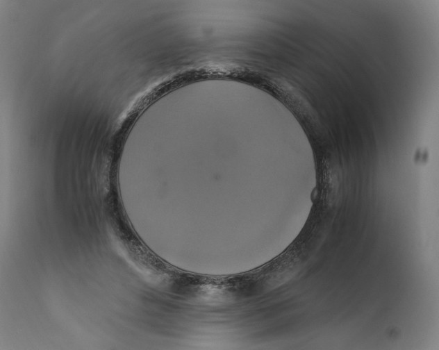X0000110710496200907101247