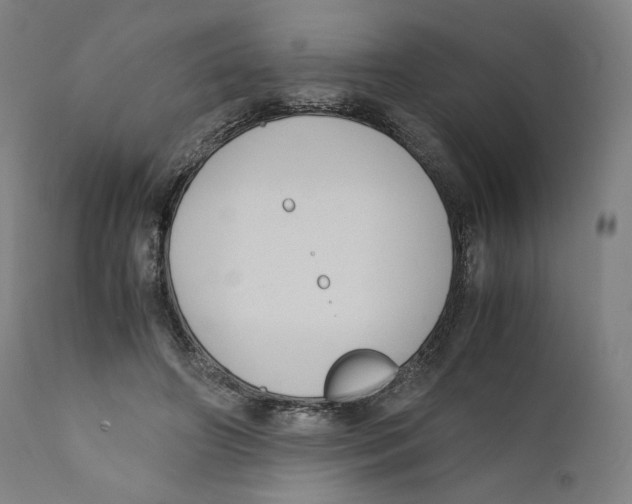 X0000110710498200907101247